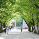 banner-1